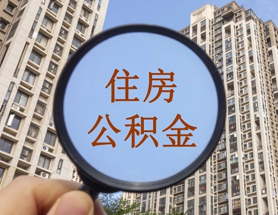 哈尔滨退休后查不到公积金明细了吗（退休后公积金查询不到原因）